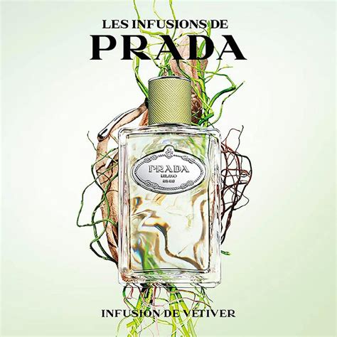 prada perfume infusion de vetiver|prada infusion perfume.